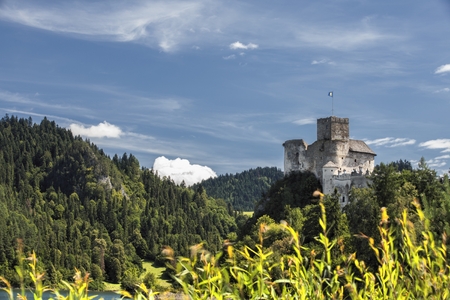 Niedzica Castle in Poland