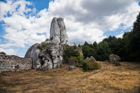 Rocks in the Krakow-Czestochowa Jura in Polandのeditorial素材