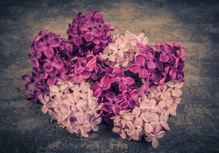 Lilac flowers in the shape of a heart on dark backgroundの写真素材