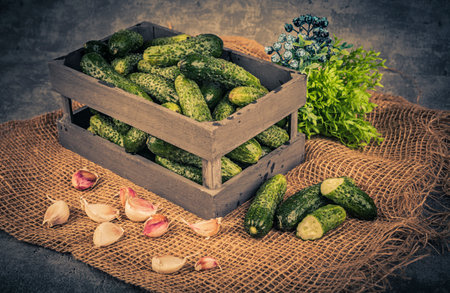 Fresh cucumbers in a wooden box with garlic and parsley.の写真素材