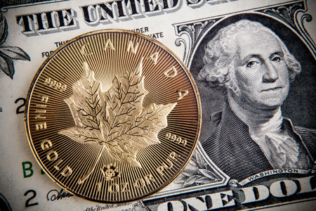 Close-up of one dollar coin on a background.