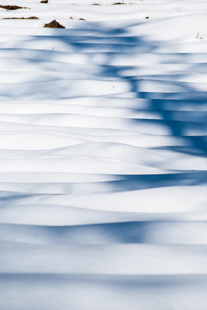 Stacked wood covered in snow, textureの写真素材