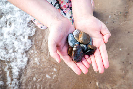 A little girl holds in her hands colored sea pebbles on the beach, rest by the sea, vacationの写真素材