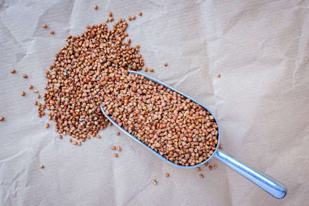 Buckwheat on metal scoop, superfoodの写真素材