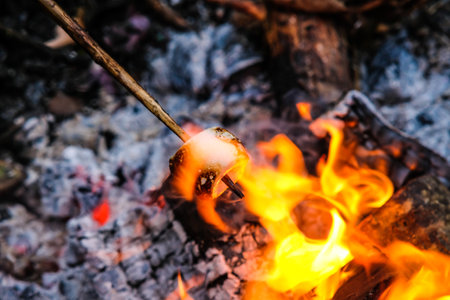 Delicious and sweet marshmallow roasting on stick over the bonfire. Defocused. High quality photoの写真素材