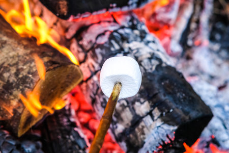 Delicious and sweet marshmallow roasting on stick over the bonfire. Defocused. High quality photoの写真素材