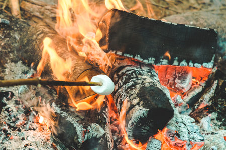 Delicious and sweet marshmallow roasting on stick over the bonfire. Defocused. High quality photoの写真素材