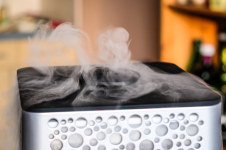 Vapor from humidifier in the morning light. Steam from the air humidifier. Air humidity level in a home. Selective focus. High quality photoの写真素材