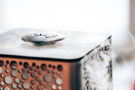 Vapor from humidifier in the morning light. Steam from the air humidifier. Air humidity level in a home. Selective focus. High quality photoの写真素材