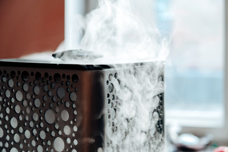 Vapor from humidifier in the morning light. Steam from the air humidifier. Air humidity level in a home. Selective focus. High quality photoの写真素材