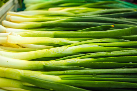 Fresh green spring onions on the farmers market.の写真素材