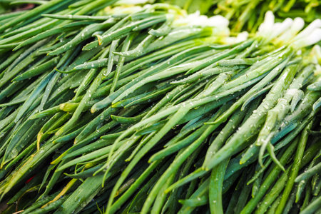 Fresh green spring onions on the farmers market.