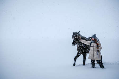 Girl and horses walking outdoors in snowfall in a winter day. Selective focusの写真素材