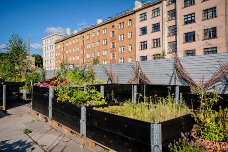 Urban gardening - community garden in center of the city with raised beds. Urban Horticulture. Selective focusの写真素材