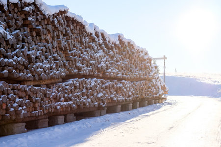Stacked logs at a lumber mill covered with snow in winter. Defocusedの写真素材