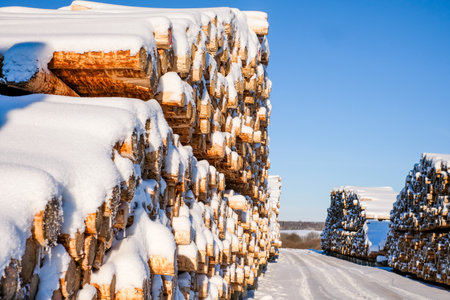 Stacked logs at a lumber mill covered with snow in winter. Defocusedの写真素材