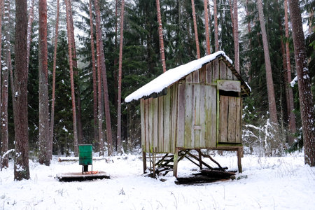 Manger for winter feeding of wild animals in forest. Forest animal feeder in winter. Defocusedの写真素材