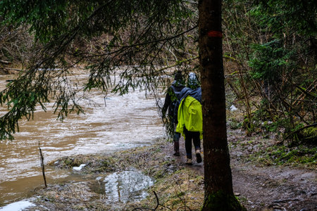 People walking on a forest path in the early springtime in a rainy day. Selective focusの写真素材