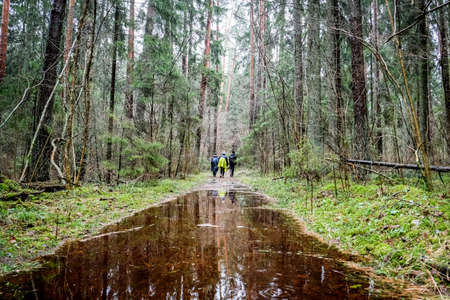 People walking on a forest path in the early springtime in a rainy day. Selective focusの写真素材