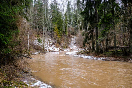 Spring floods a small river in the woods. Selective focusの写真素材