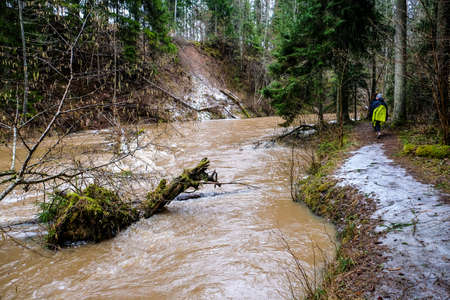 Spring floods a small river in the woods. Selective focusの写真素材