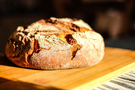 Very fresh loaf of round sourdough bread with a golden crust. Defocusedの写真素材