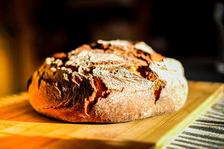 Very fresh loaf of round sourdough bread with a golden crust. Defocusedの写真素材