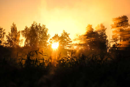 Very beautiful sunrise in summer over a foggy lake. Early morning in summer in nature. Defocusedの写真素材