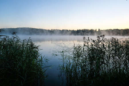 Very beautiful sunrise in summer over a foggy lake. Early morning in summer in nature. Defocusedの写真素材