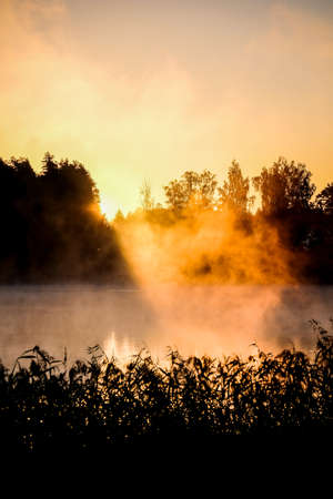 Very beautiful sunrise in summer over a foggy lake. Early morning in summer in nature. Defocusedの写真素材