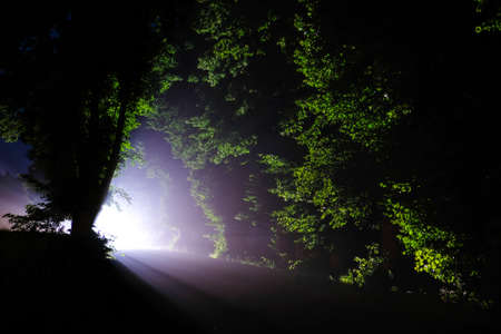 Car lights at night on the road. Traffic safety in the dark. Light at the end of the tunnel....