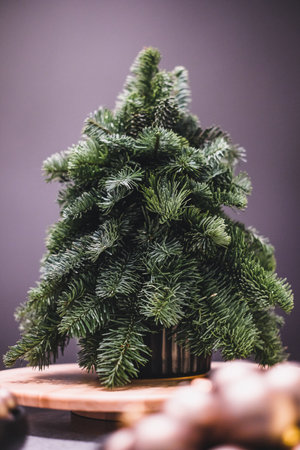Small portable tabletop easy DIY decorated Christmass tree. Defocusedの写真素材