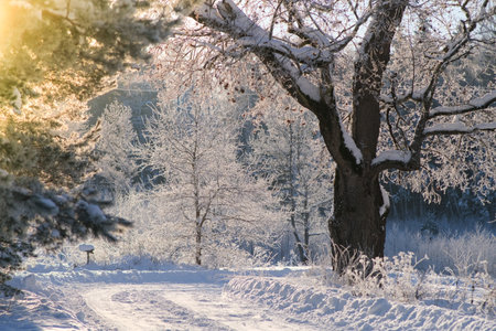Road on a snowy winter day, winter, snow on the road, driving a car in winter. Defocusedの写真素材