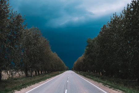 A lonely road in the summer before a threatening storm. Storm in summer. thunder clouds.の写真素材