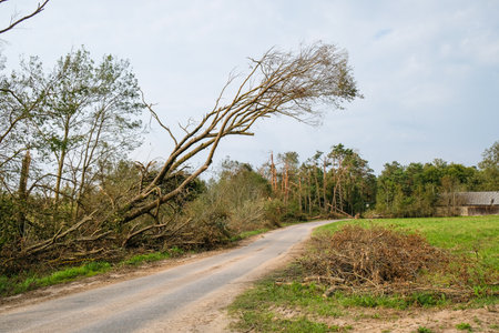 Consequences of the storm in Latvia, Zemgale. On August 7, a hurricane-force storm raged in Latvia, which felled trees and damaged houses. Trees broken by the storm.の写真素材