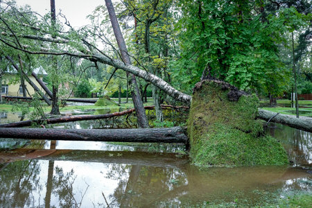 Jurmala, Latvia - July 29, 2024: Aftermath of the storm in the Latvian city of Jurmala. The huge storm broke several hundred trees and caused floods in the resort town of Jurmala.のeditorial素材
