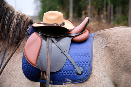 Cowboy hat on a horse saddle. Western lifestyle, horses as a hobbyの写真素材