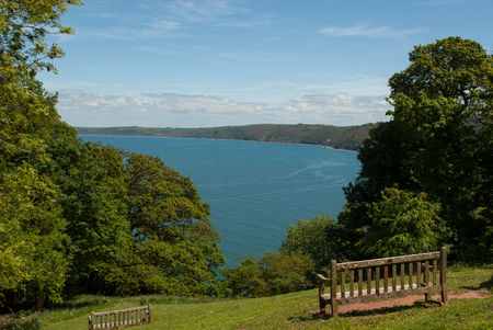 View of Sea through Trees with Bench in Foregroundの写真素材