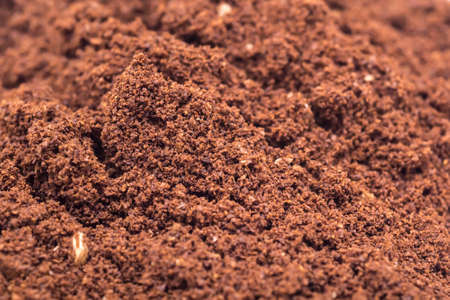 Coffee Powderの写真素材
