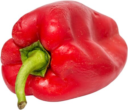 Red Wet Chili Isolated On Whiteの写真素材