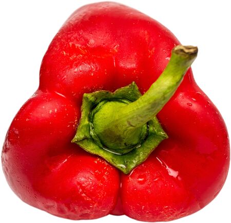 Red Wet Chili Isolated On Whiteの写真素材