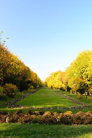 Park View On An Autumn Dayの写真素材