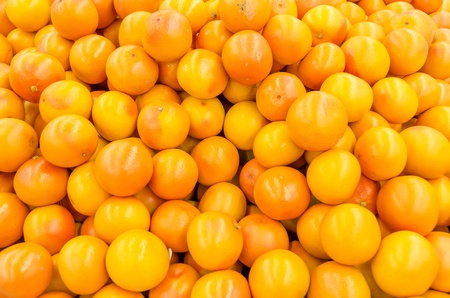 Colorful Display Of Pink Grapefruit In A Marketの写真素材