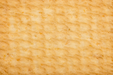 Macro Photo Of A Biscuit Textureの写真素材