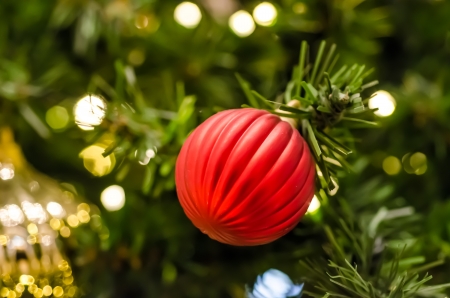 Closeup Photo Of Beautiful Christmas Tree Ornamentsの写真素材