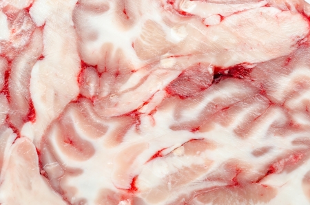 Very Detailed Macro Photo Of A Brain Sectionの写真素材