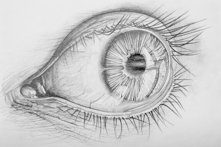 Pencil Drawn Anatomy Of A Human Eyeの写真素材