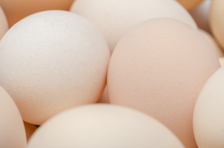 Chicken Eggs Close Upの写真素材