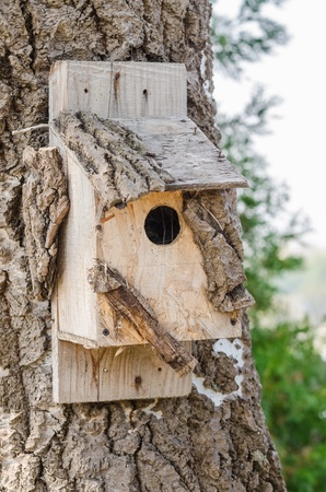 Wooden Bird House On A Treeの写真素材