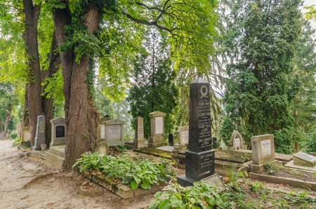 Old Evangelical Cemetery In Sighisoara, Romania のeditorial素材